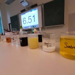 277852733 394346448867249 4412944993937091973 n