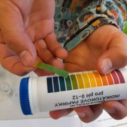 277902015 1103330163845858 4930878036558129876 n