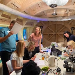 312993452 833807814475999 5025225687023940455 n