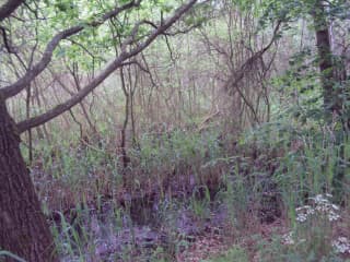 NPP Jestřebské slatiny 3